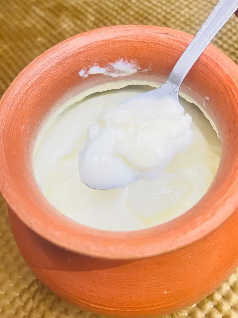 Fresh Homemade Yogurt Recipe | Homemade Frozen Yogurt in 25 minutes | Thick Yogurt Recipe
